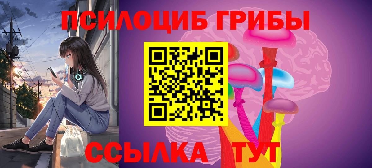 Псилоцибиновые грибы прущие грибы  Вход с VPN  Петрозаводск 