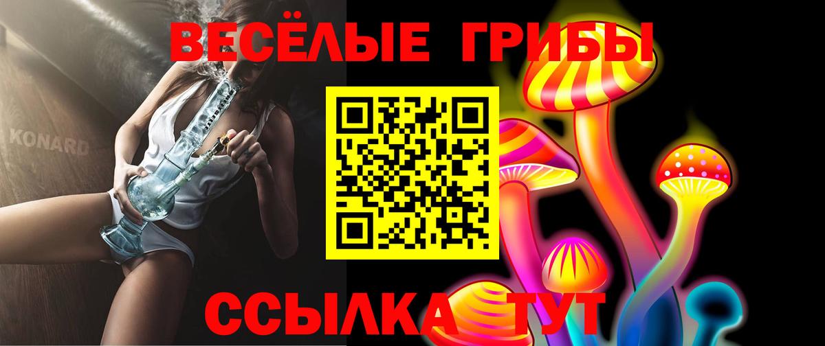 ГАШ Петрозаводск