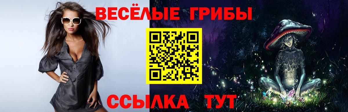 Галлюциногенные грибы мухоморы Петрозаводск